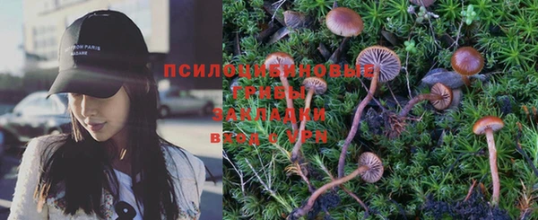 молекула духа Алексин