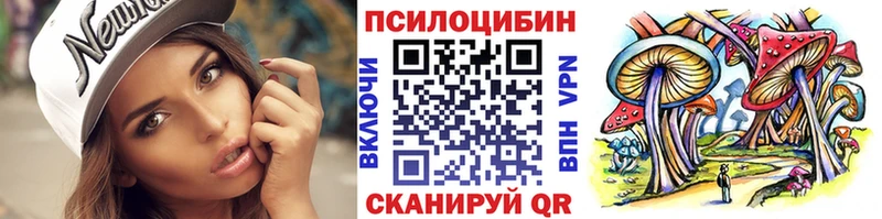 что такое Багратионовск shop клад Псилоцибиновые грибы Psilocybe