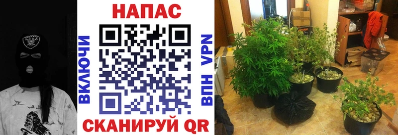 Каннабис THC 21% Багратионовск